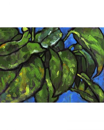 Pothos 1