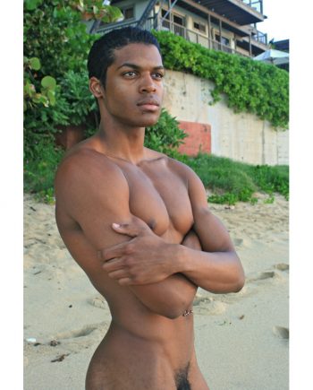 Thoroughbred