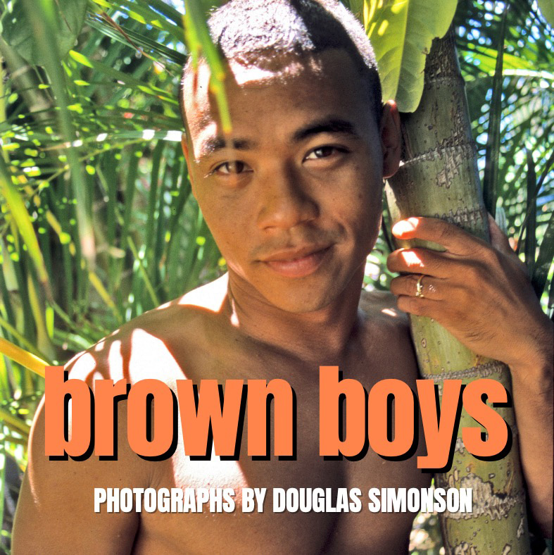Brown Boys book cover