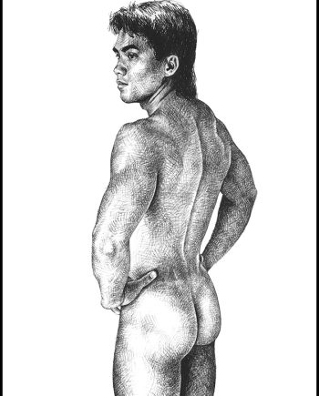 Basic Back
