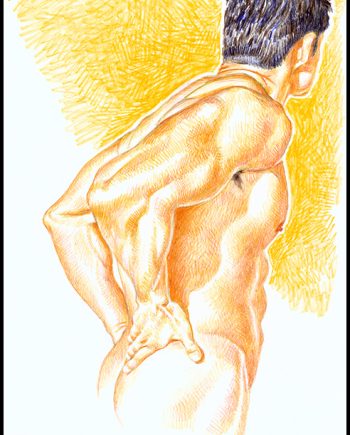 Upper Torso in Sun
