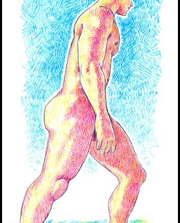 Monumental Joe in Shallows