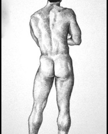 Backside