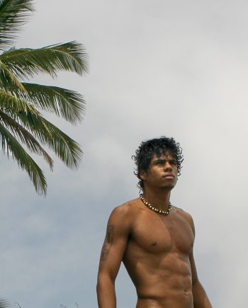 Brazilian Island